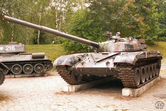 Sample Photo from Tank with UniqueID 438