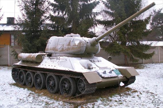 Sample Photo from Tank with UniqueID 442