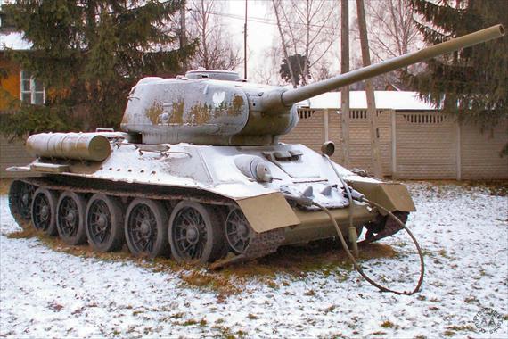 Sample Photo from Tank with UniqueID 443