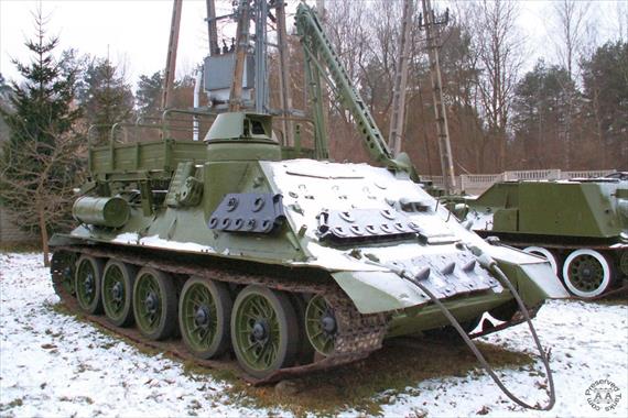 Sample Photo from Tank with UniqueID 446