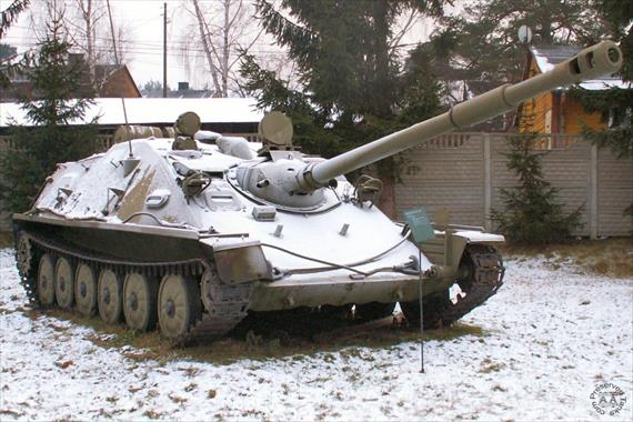 Sample Photo from Tank with UniqueID 448