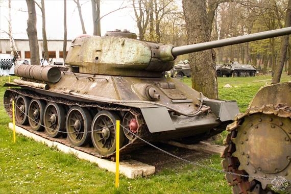 Sample Photo from Tank with UniqueID 463