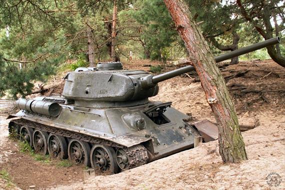 Sample Photo from Tank with UniqueID 474