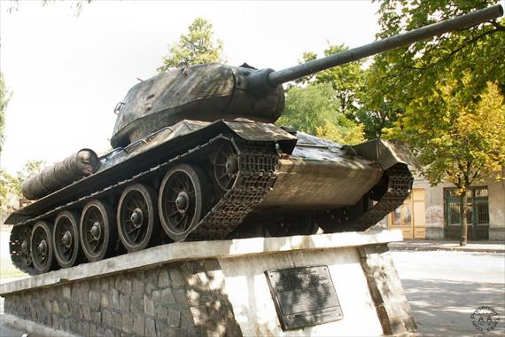 Sample Photo from Tank with UniqueID 476