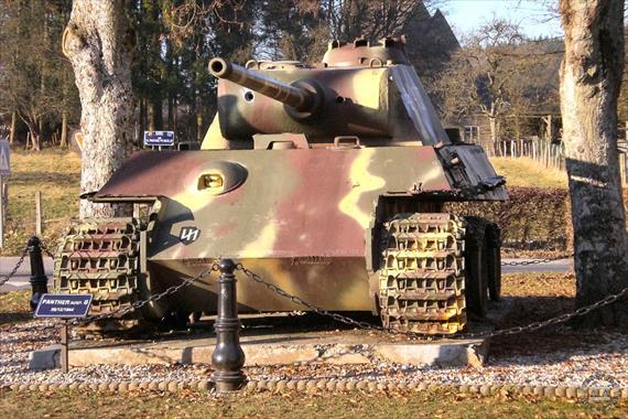Sample Photo from Tank with UniqueID 51