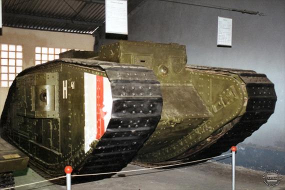 Sample Photo from Tank with UniqueID 537