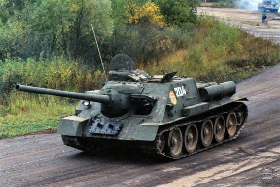 Sample Photo from Tank with UniqueID 598