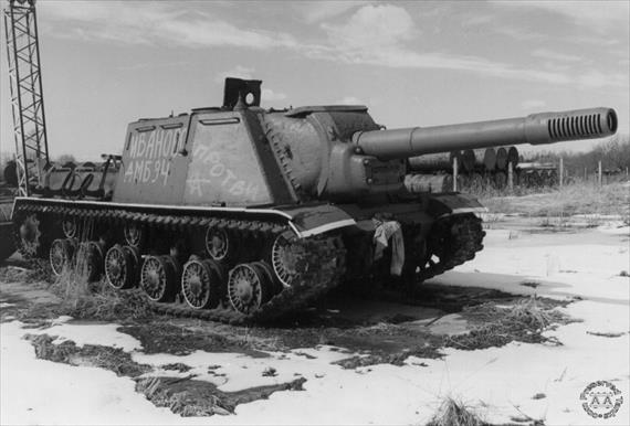Sample Photo from Tank with UniqueID 619