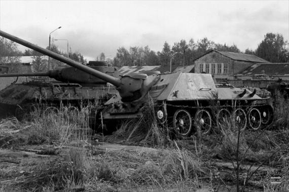 Sample Photo from Tank with UniqueID 629