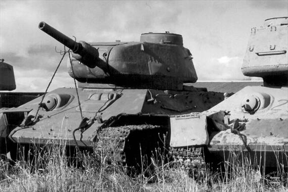Sample Photo from Tank with UniqueID 633