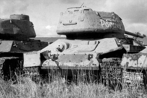 Sample Photo from Tank with UniqueID 634