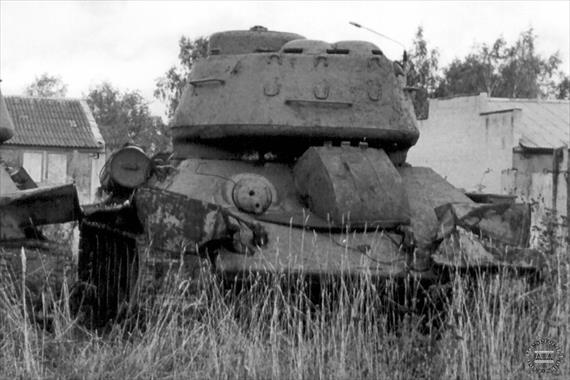 Sample Photo from Tank with UniqueID 636