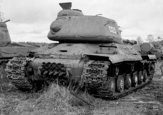 Sample Photo from Tank with UniqueID 642