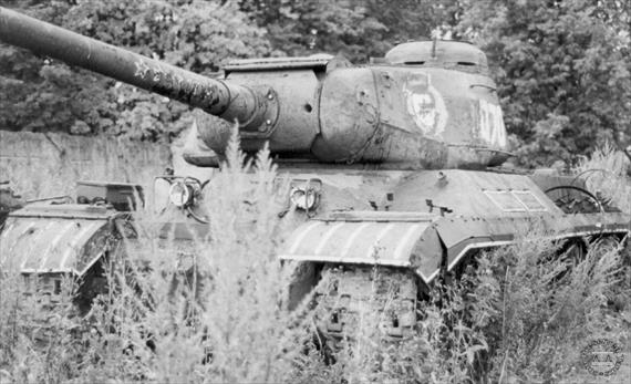 Sample Photo from Tank with UniqueID 643