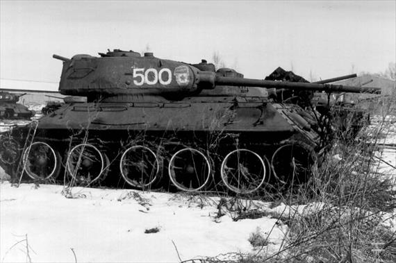 Sample Photo from Tank with UniqueID 645