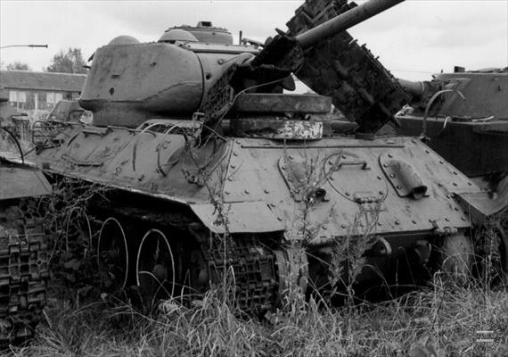 Sample Photo from Tank with UniqueID 647