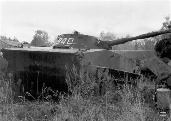 Sample Photo from Tank with UniqueID 648