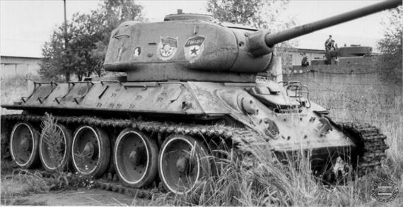 Sample Photo from Tank with UniqueID 652