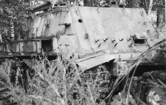 Sample Photo from Tank with UniqueID 653