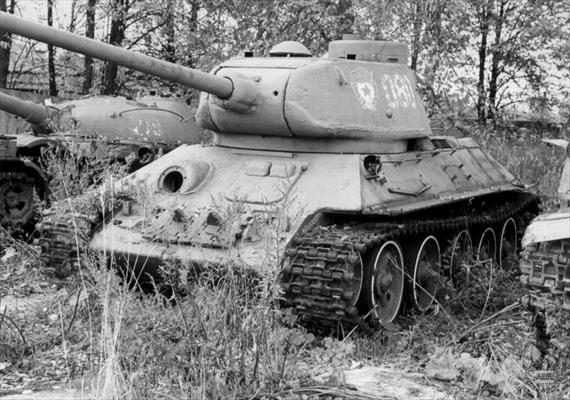 Sample Photo from Tank with UniqueID 654