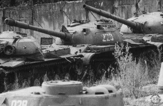 Sample Photo from Tank with UniqueID 659