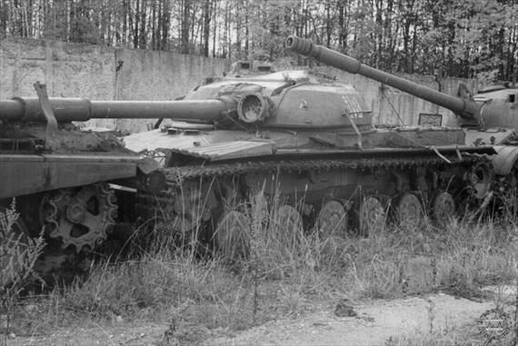 Sample Photo from Tank with UniqueID 660
