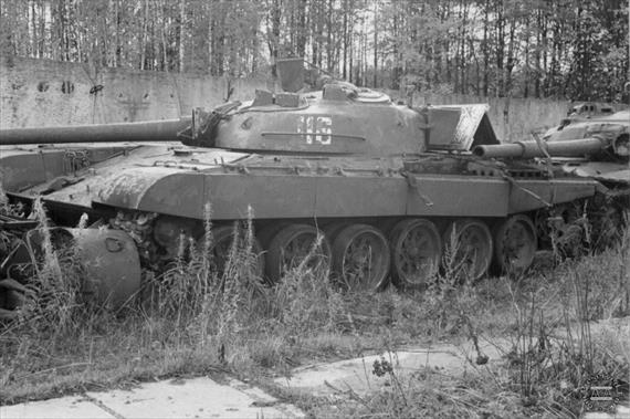 Sample Photo from Tank with UniqueID 661