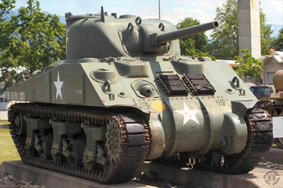 Sample Photo from Tank with UniqueID 800