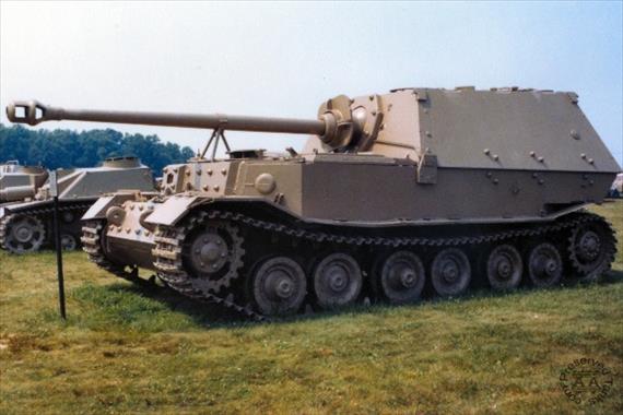 Sample Photo from Tank with UniqueID 84