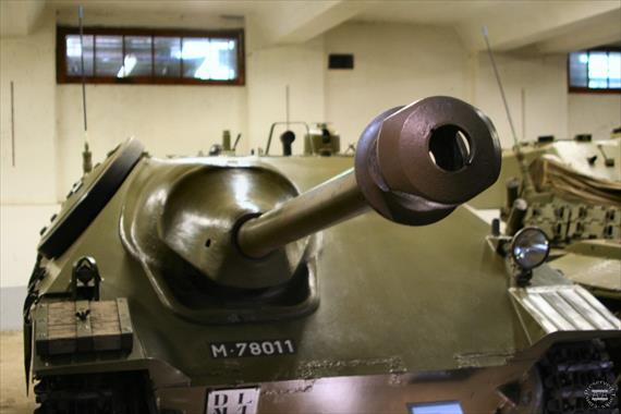 Sample Photo from Tank with UniqueID 842