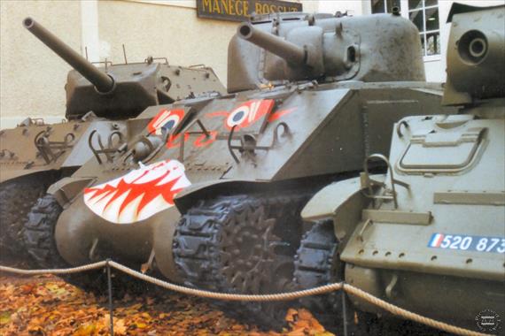 Sample Photo from Tank with UniqueID 863