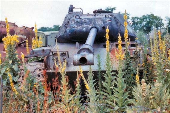 Sample Photo from Tank with UniqueID 902