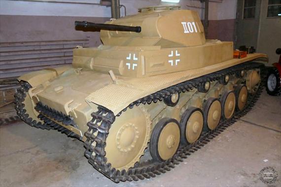 Sample Photo from Tank with UniqueID 91