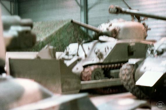 Sample Photo from Tank with UniqueID 919